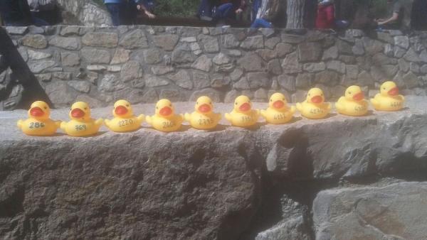 El CLUB PIRAGÜISMO CUENCA CON CARÁCTER COLABORÓ CON APACU EN EL DÍA INTERNACIONAL DEL AUTISMO