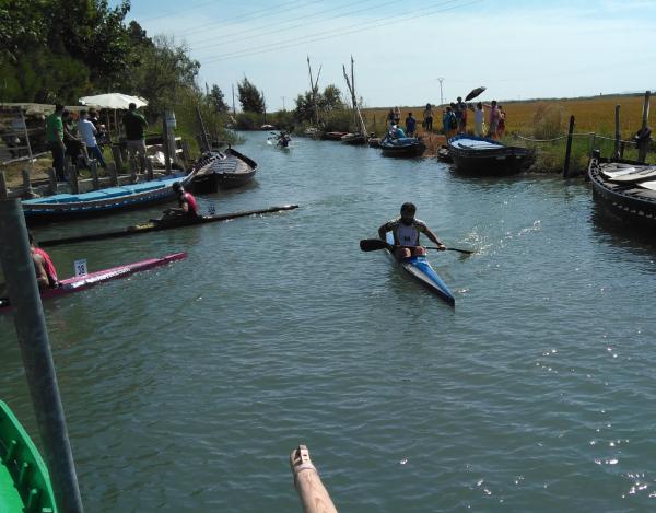 NOS TRAEMOS OTRA PLATA DESDE LA ALBUFERA